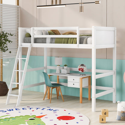 Loft Bed With Ladder
