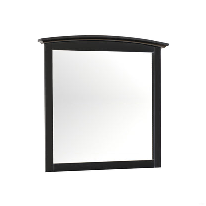 Elegant Wall Mirror