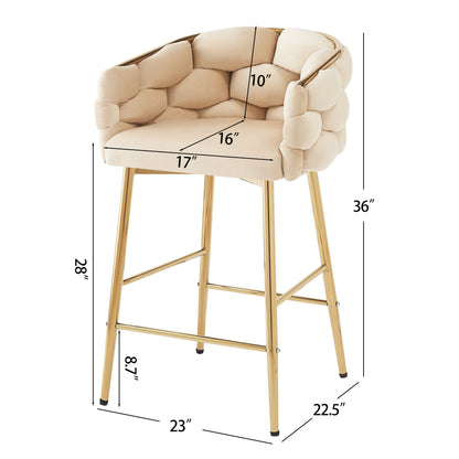 Modern Counter Stools (Set of 2)