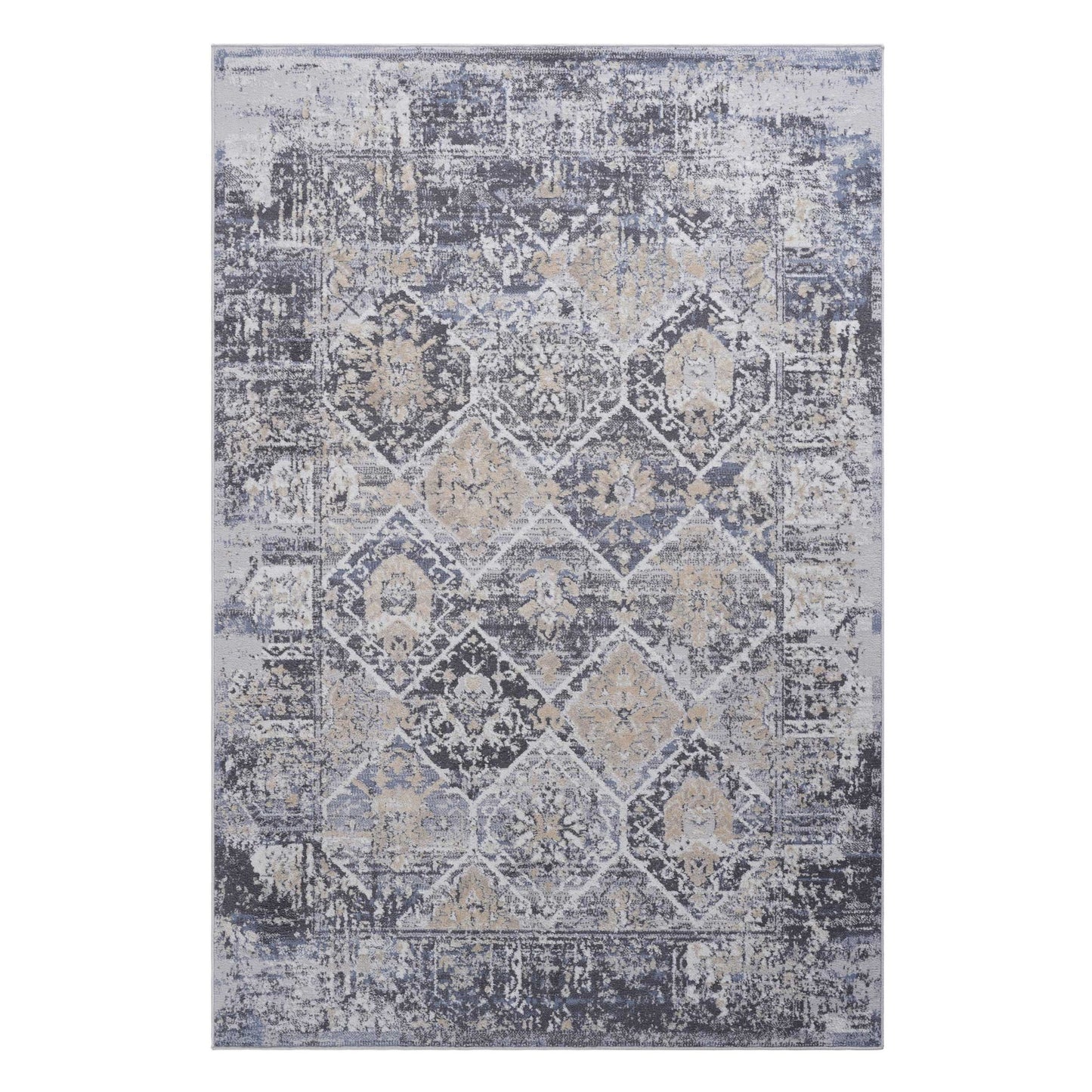 Payas - 6' X 9' Traditional Area Rug - Gray / Blue