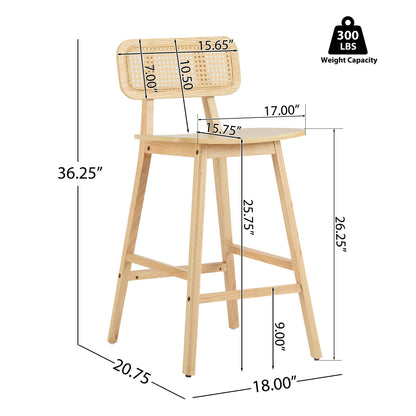 Bari - Indoor Wood Barstool (Set of 2)