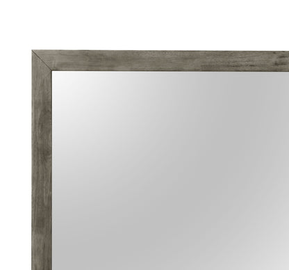 Modern Design Transitional Wall Mirror